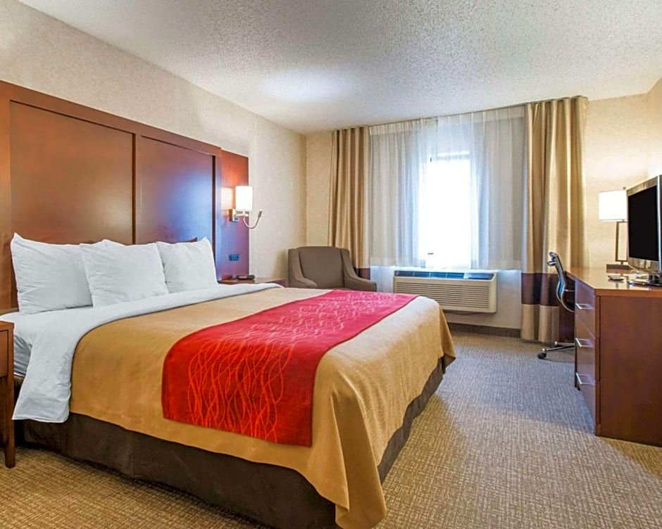 Comfort Inn North Colorado Springs