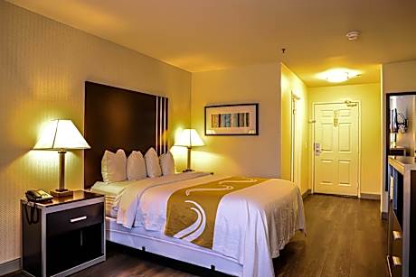 Standard Room, 1 King Bed Accessible Roll-In Shower, Non Smoking