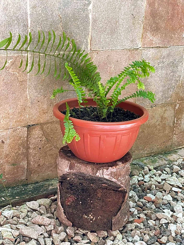 Pousada São Jorge 1 MIN A PÉ DA PRAIA Casa de família, simples e aconchegante, Na Av principal da praia café disponível até 12hs cozinha completa e churrasqueira disponível para uso ar cond das 20hs as 8 30