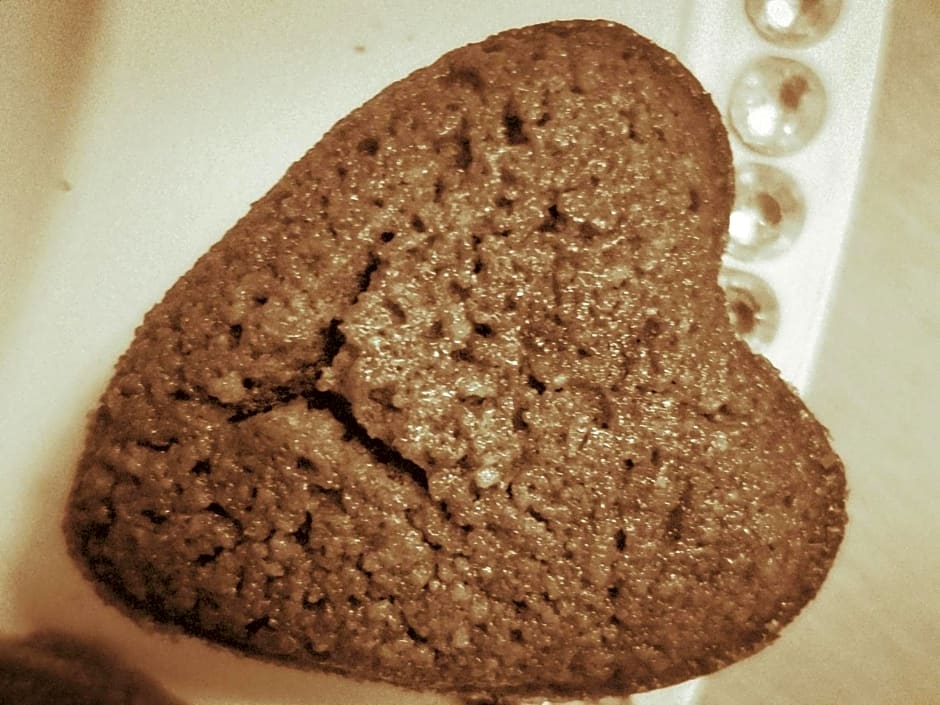 BREVOCEAN Chb calme Côte Atlantique