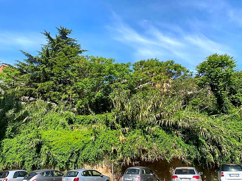 Guest Art Trastevere Station with AC