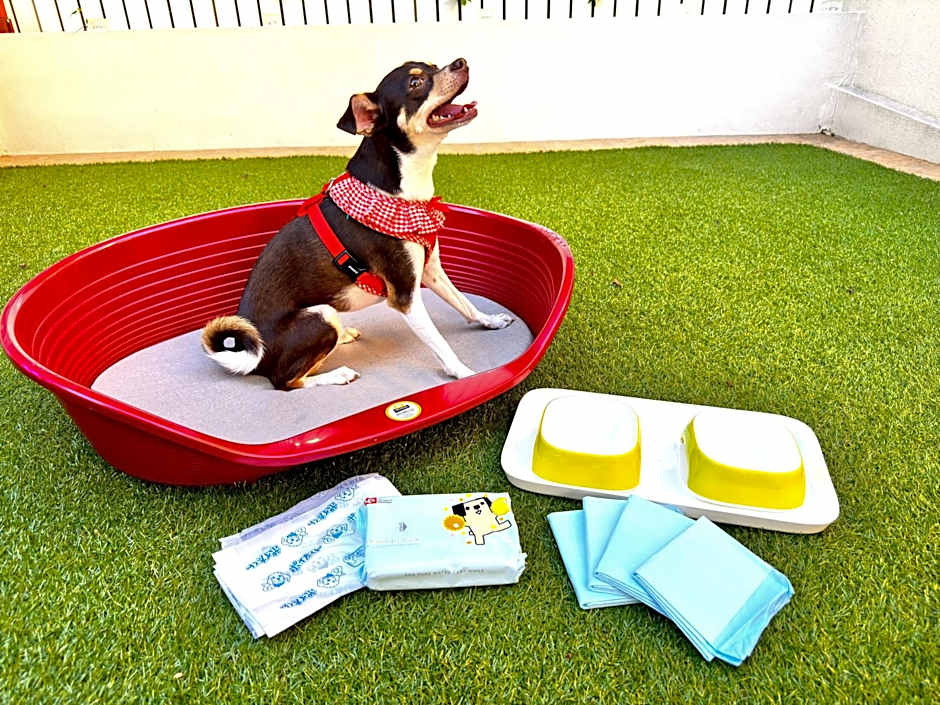 Riverside Arashiyama