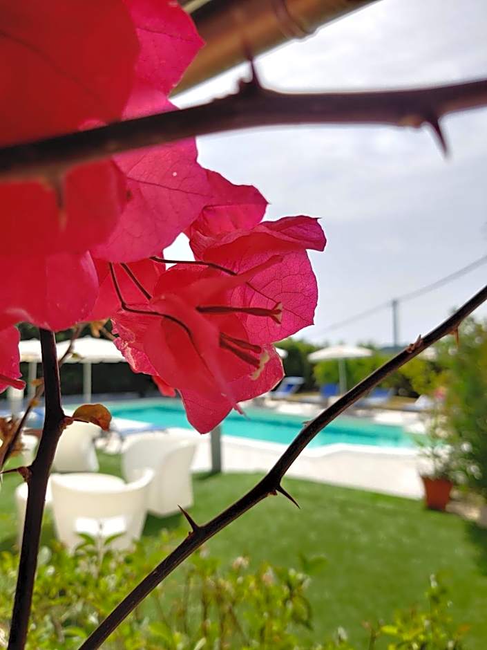 Natur Hotel Tanca