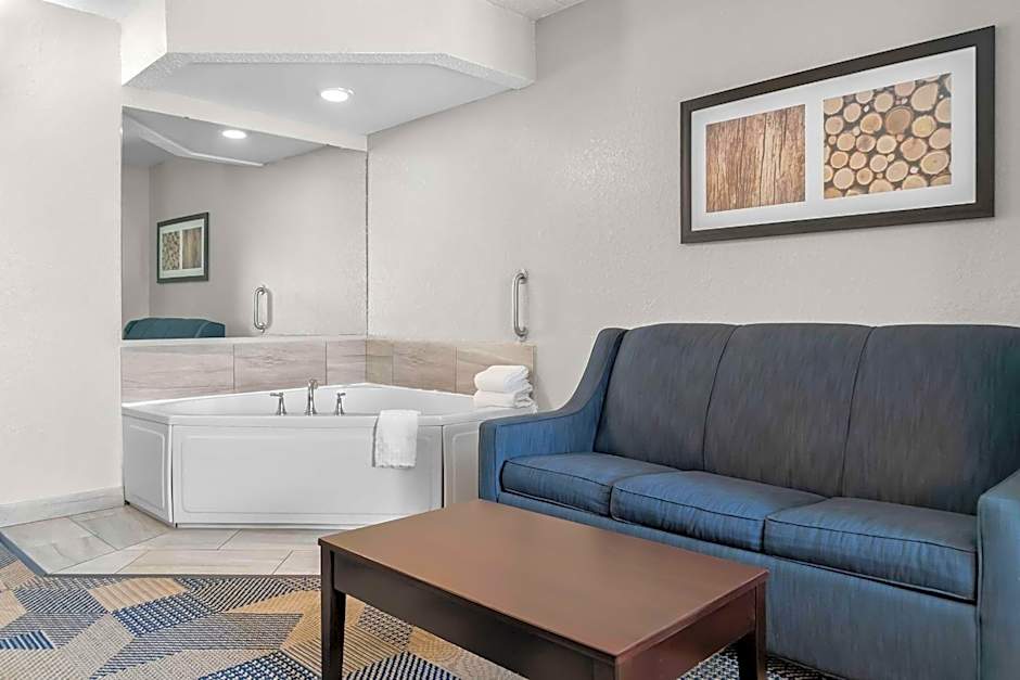 Best Western PLUS Flint Airport Inn & Suites