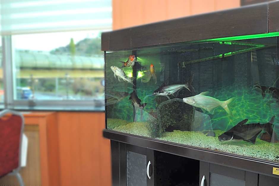 Lion City Hotel Ankara