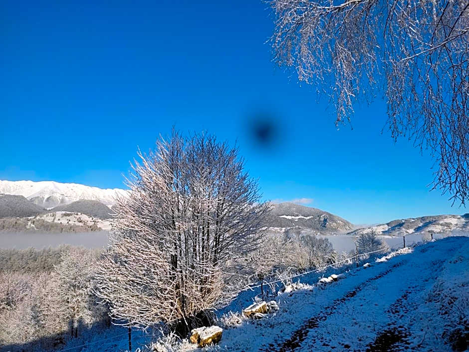 Cabana doi mesteceni