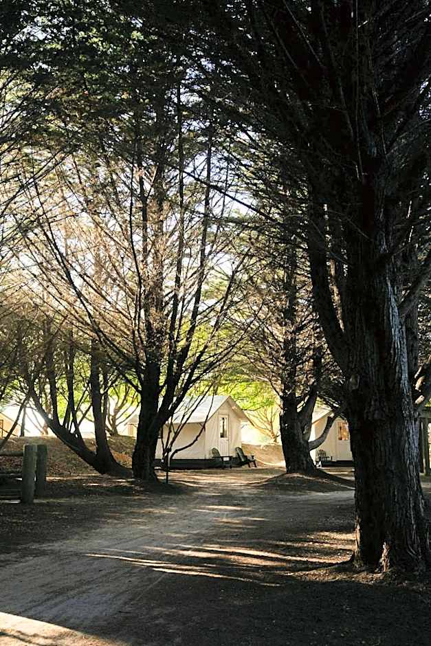 Costanoa