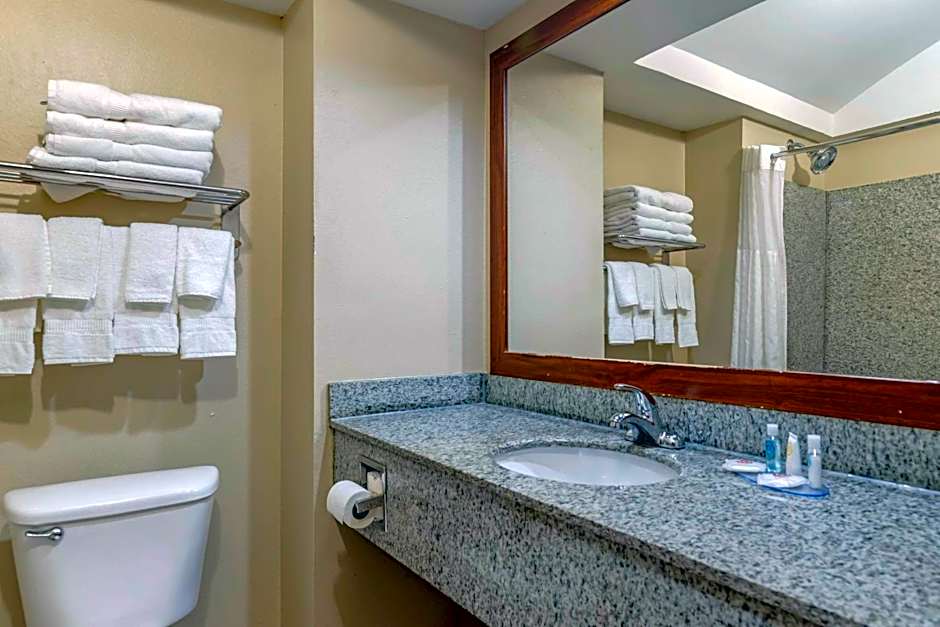 Comfort Inn & Suites Seguin