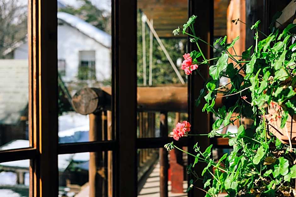 Hakuba Pension & Log Hotel Meteor