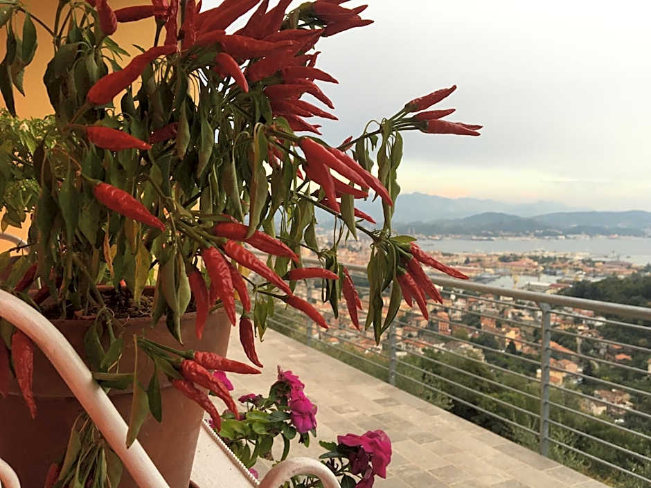 Agriturismo La Pietra 1 e La Pietra 2