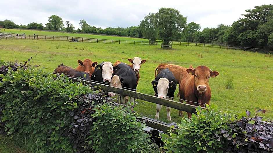 Hazelwood Country House