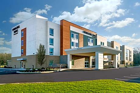 SpringHill Suites by Marriott Arlington TN