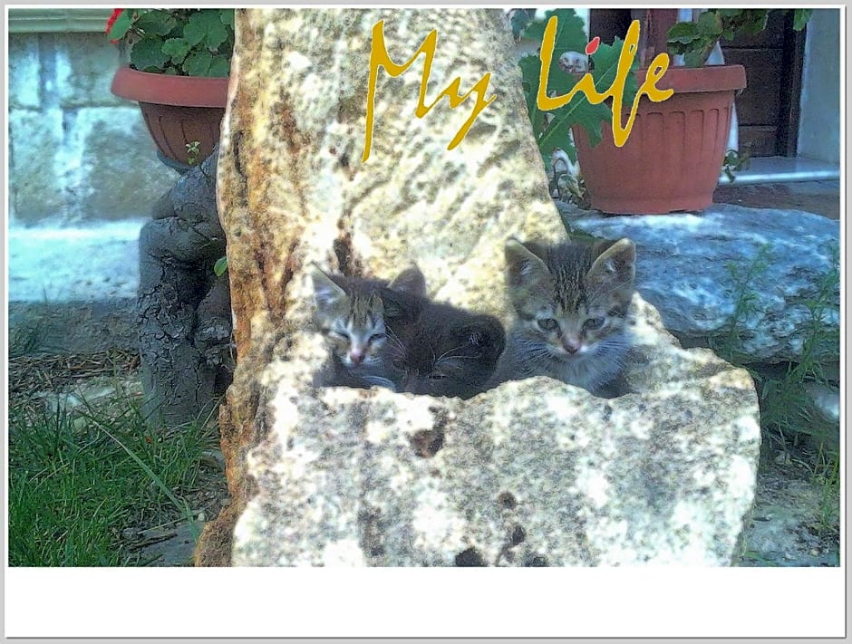 MyLife B&B Country House