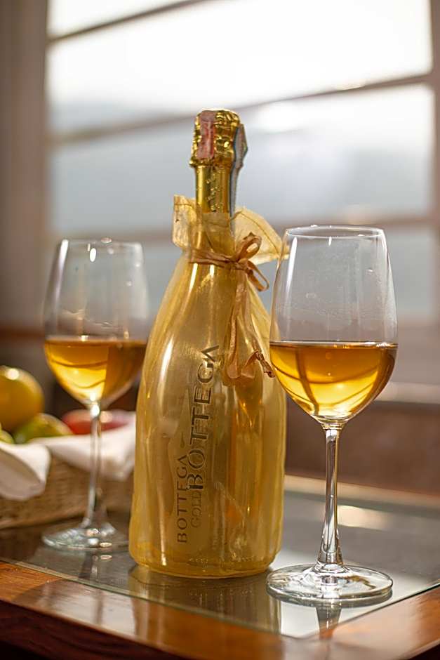 Mount View Pokhara Hotel