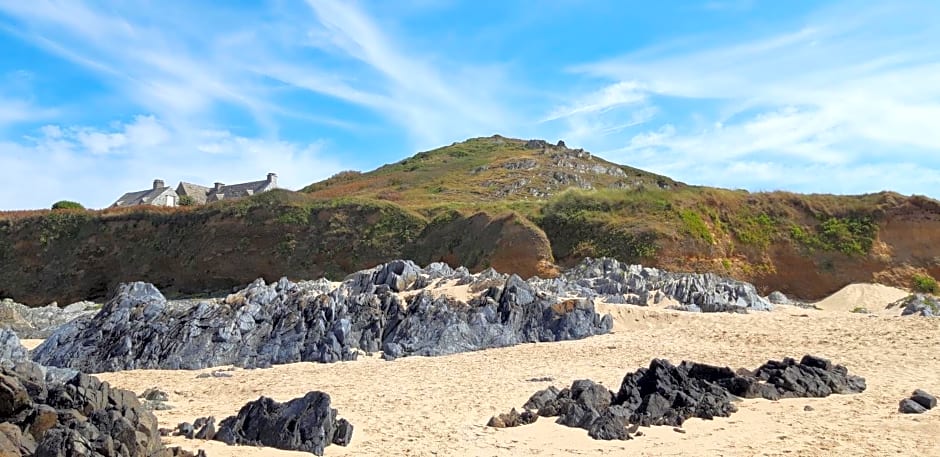 LE CHALET SUISSE - Chambre papillons