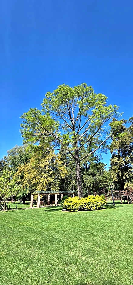 Sheraton Pilar Hotel & Convention Center