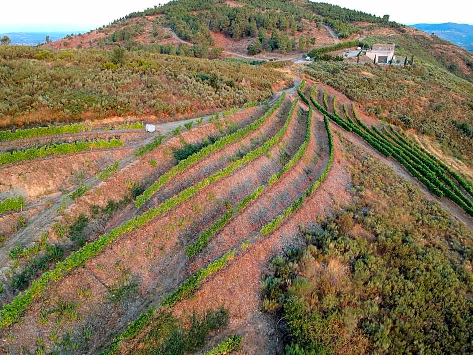 Stay at the Winemaker