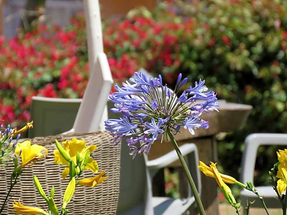 Boulevard Inn Mt Meru