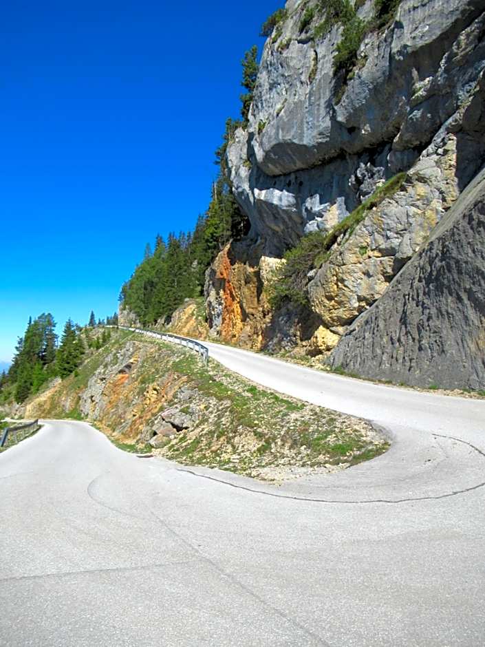 Steinerhaus Berggasthof