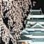 Hakuraiso