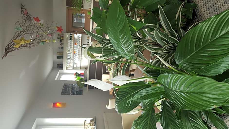 Hotel Beuss