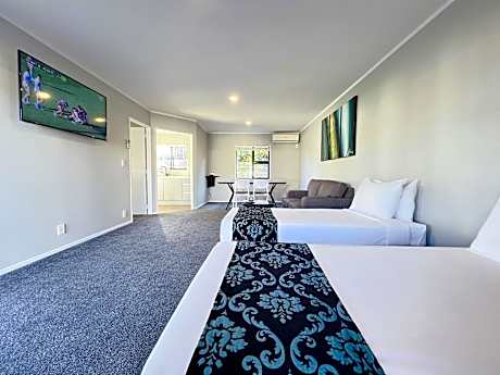 Large One-Bedroom Apartment