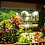 Hotel Playa Colibri