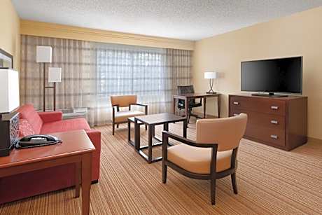 Larger Guest room, 1 King, Sofa bed