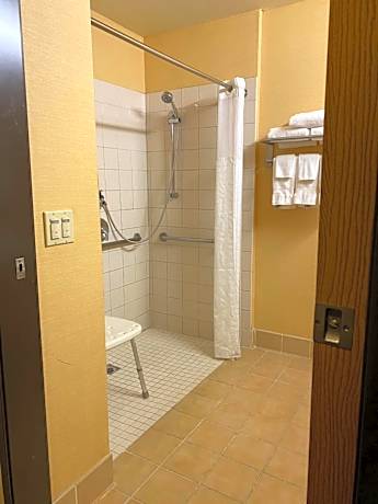 King Room with Roll-In Shower - Accessible/Non-Smoking