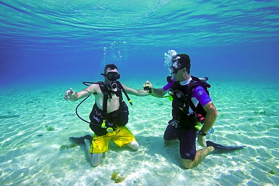 Occidental Cozumel - All Inclusive Resort