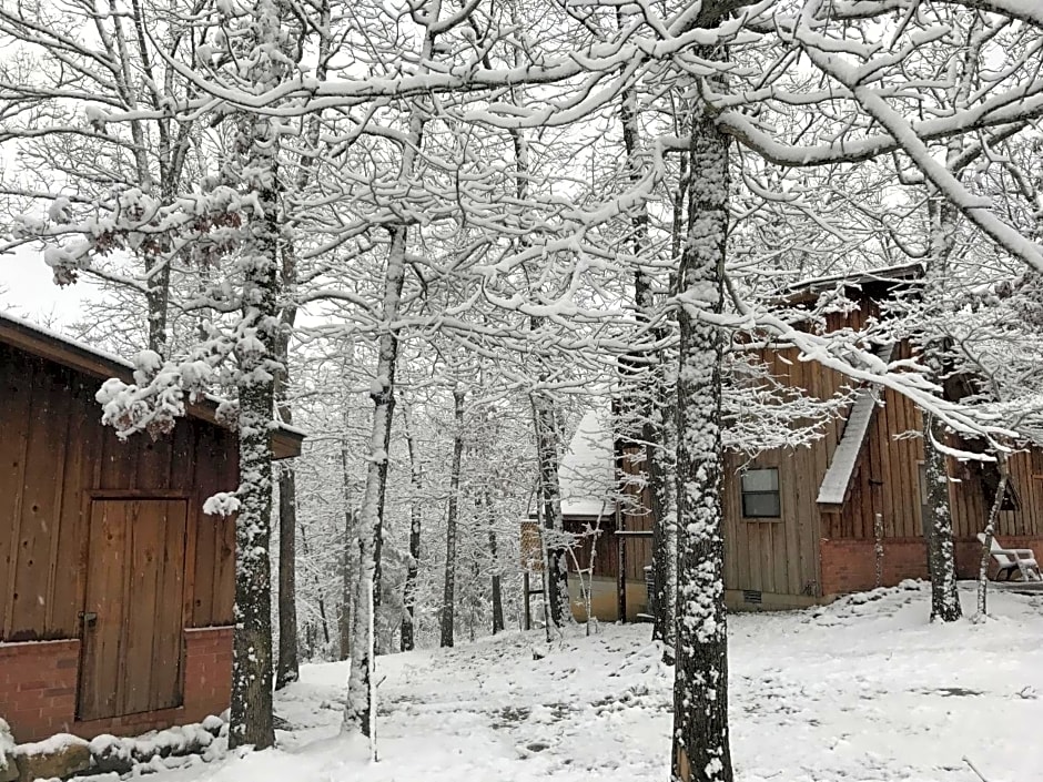 Norfork Lake Ozark Mountain Lodge