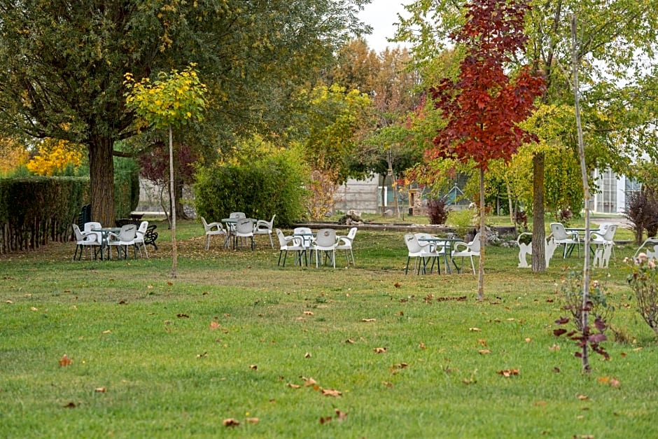 Prado de las merinas