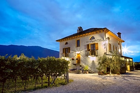 Fattoria l'Amorosa