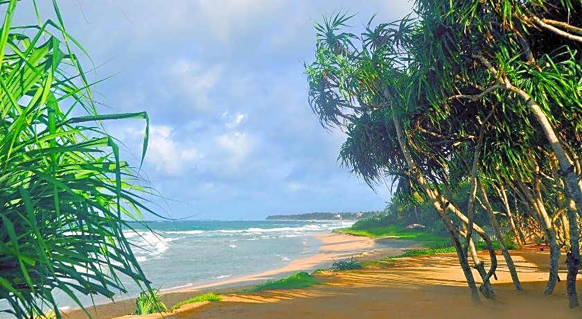 The Beach Cabanas