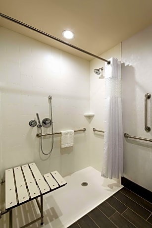 1 King Mobility Hearing Accessible Roll In Shower Non-Smoking
