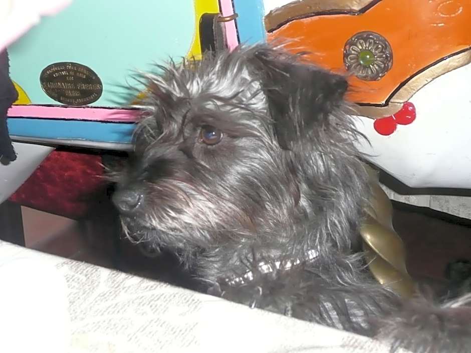 Hotel Victor Hugo Nice