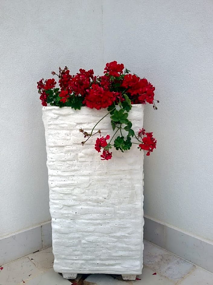 Blu Salentino b&b con Parcheggio Privato Gratuito