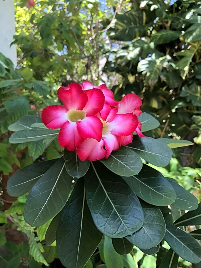 Pousada Morada Do Sol