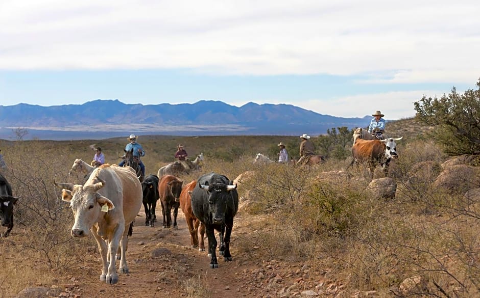 Tombstone Monument Guest Ranch