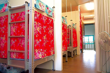 Bunk Bed in Mixed Dormitory Room