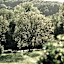 La Dime de Giverny - Chambres d'hôtes