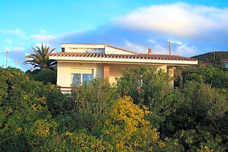 a vacation that becomes a dream