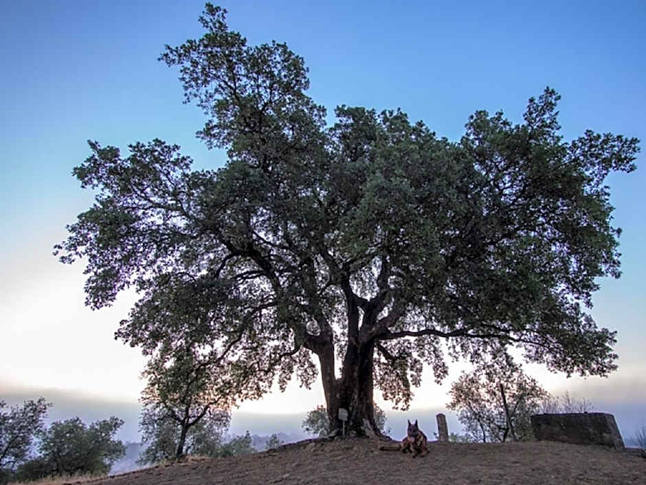 Montebelli Agriturismo & Country Hotel