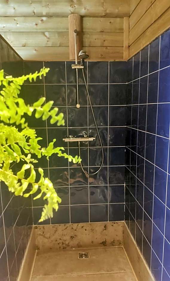 B&B Aquavert