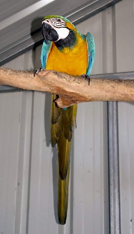 Smugglers Cove Holiday Village