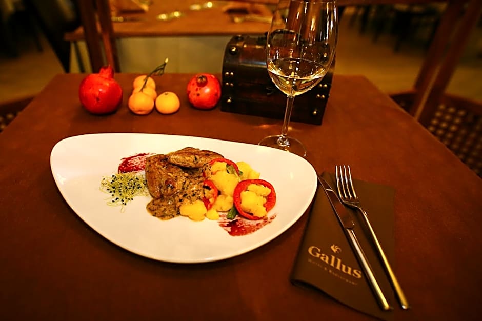 Hotel Gallus