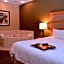 Hampton Inn By Hilton & Suites Kalamazoo-Oshtemo, Mi