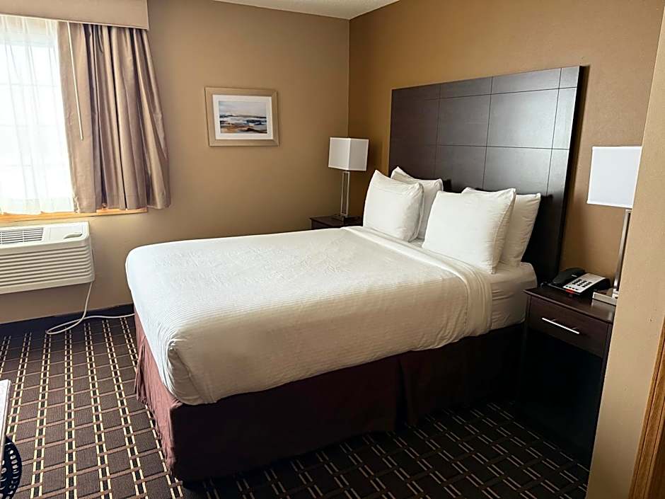 Photo 1 of 10 of 1 Queen Bed with Sofabed Suite