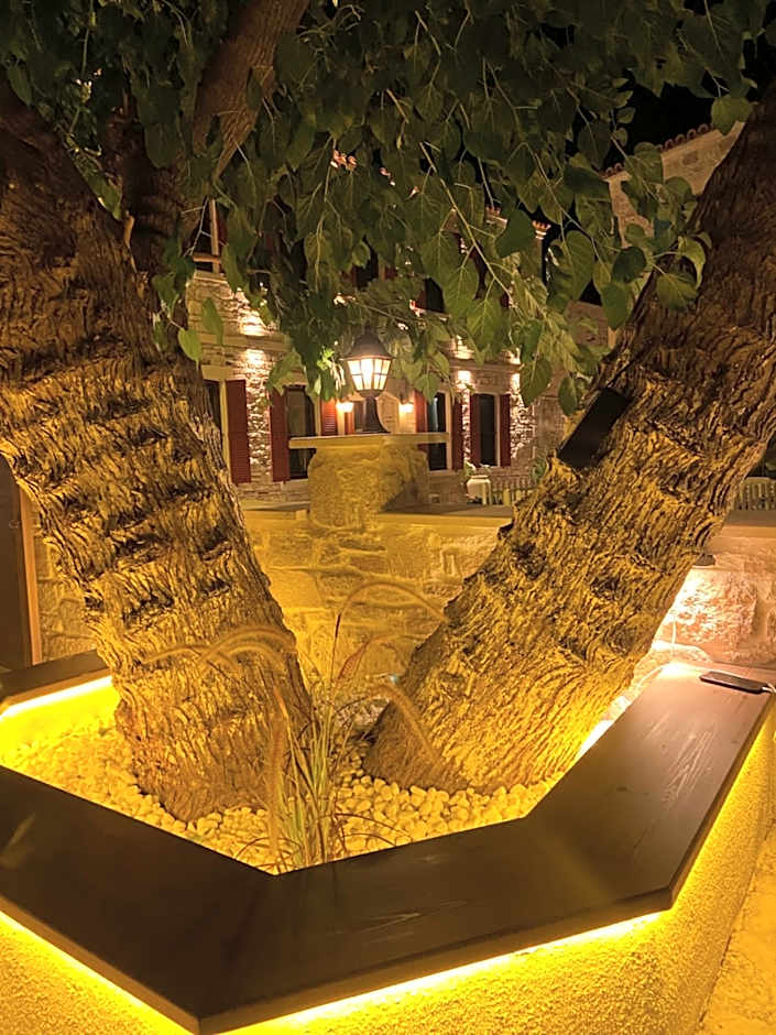 Dionysos 1789 Boutique Hotel