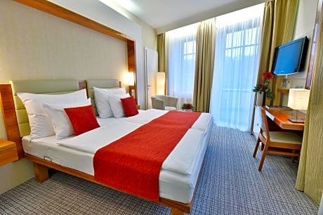 Classic Double Room with Wellness Access